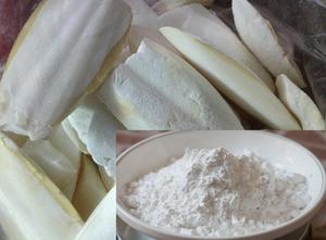 WHOLESALE CUTTLEFISH <b>BONE</b> | <b>CUTTLE</b> <b>FISH</b> <b>BONE</b> | CUTTLEBONE ( WHOLE and POWDER ) WITH BULK FROM VIETNAM/ Ms. Lima - Product Image 5