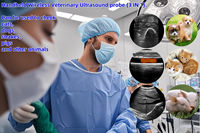Scanner à ultrasons Doppler couleur sans fil pour chiens chats cochons moutons vaches chevaux équipement de diagnostic vétérinaire