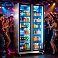 Réfrigérateurs mécaniques Sub Zero, vitrine de présentation de boissons, réfrigérateur à vin et à bière en libre-service pour usage commercial