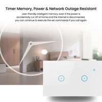 Interrupteur mural intelligent WiFi Alice Google Home Alexa Smart Life 10A 1-Gang avec télécommande