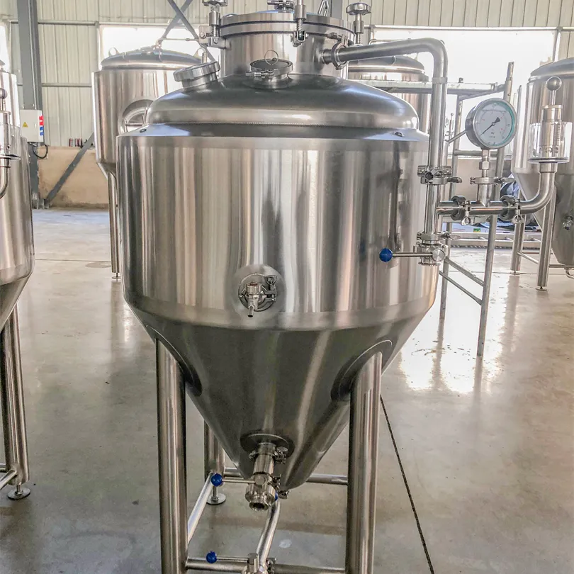Tonsen 100l 200l 300l micro craft beer brewing equipment with stainless steel fermentation tanks