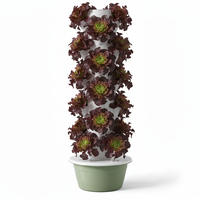 Tour de jardinage verticale NFT d'intérieur en ABS/PP avec éclairage LED, système de culture hydroponique, pots et jardinières