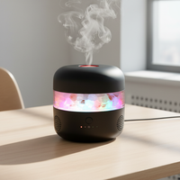 Lampe de sel de l'Himalaya de luxe, humidificateur et diffuseur d'arômes d'huiles essentielles pour chambre, bureau, spa, salle de yoga, cadeau