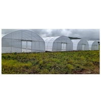 Système hydroponique commercial Serre agricole à tunnel en poly monocouche Serre à travée unique de petite taille