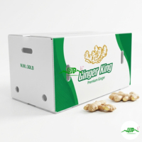 PP golfplaten holle platen golfplastic dozen voor verpakkingen van fruit en groenten in de landbouw