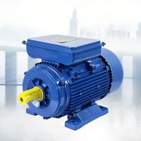 Moteur à induction sans balais ML Electricity 220v 2800rpm 750w 1hp Moteurs électriques à courant alternatif monophasés