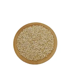 Grain entier de qualité supérieure, haute Nutrition, peut être vendu en gros, Quinoa blanc