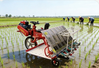 Repiqueuse de riz électrique manuelle 2/4/6/8 rangs, machine agricole de plantation