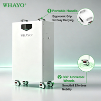 Batterie domestique au lithium Whayo 14kWh 15kWh pour stockage solaire, montée sur roulettes, pack de batteries LiFePO4 51.2V 280Ah 314Ah