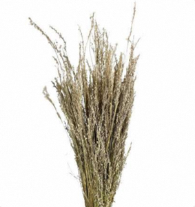 Arreglo Floral de Hierba Estrella Seca, Ramo de Hierba Silvestre Natural para Decoración de Bodas y Hogar - Product Image 3
