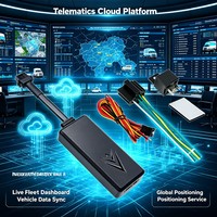 Usine de traceurs GPS OED ODM, R&D interne complète, traceur GPS 4G pour voitures pour la gestion de flotte