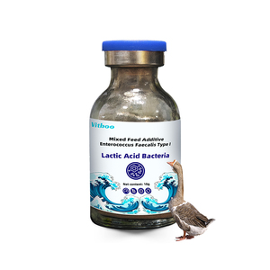Vitboo Probióticos en Polvo para Pescado, Camarón, Complejo Probiótico para Animales Acuáticos, <span class=keywords><strong>Lactobacillus</strong></span> Powder - Product Image 3