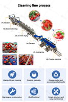 Ligne de lavage automatique personnalisée Simplot pour fruits et légumes, machine de nettoyage à bulles d'air pour fraises, myrtilles, cerises