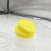 Kantong Aseptik Grosir Kustom dengan Katup Anti Lembab dalam Kotak 20L 22L untuk Air Minum, Anggur, Jus, Susu, Minyak Zaitun