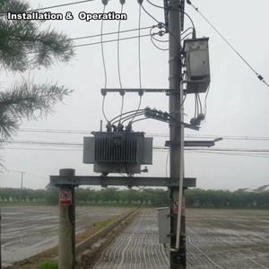 SGOB 63Kva Médio e Alta Tensão <span class=keywords><strong>Transformador</strong></span> 3 Fase Óleo Imerso 20kv Outdoor Electrical_Transformer - Product Image 6