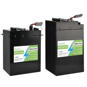 36V 10ah 48v 20ah 60v 30ah 72v 40ah batteria al litio per bici scooter elettrico