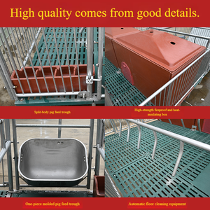 Dual - Unit Farrowing <strong>Crates</strong> for Sows. Low - Cost and High - Quality, Suitable for <strong>Pig</strong> Farms. - Product Image 4