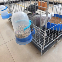 Mangeoire à oiseaux ronde en plastique de 500 ml, distributeur automatique de nourriture pour perroquets et pigeons, accessoires pour animaux de compagnie à double usage