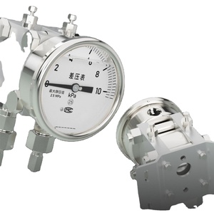 Manómetro Diferencial de Alta y Baja Presión de -100kpa~100kpa, Manómetro Diferencial WTR - Product Image 3