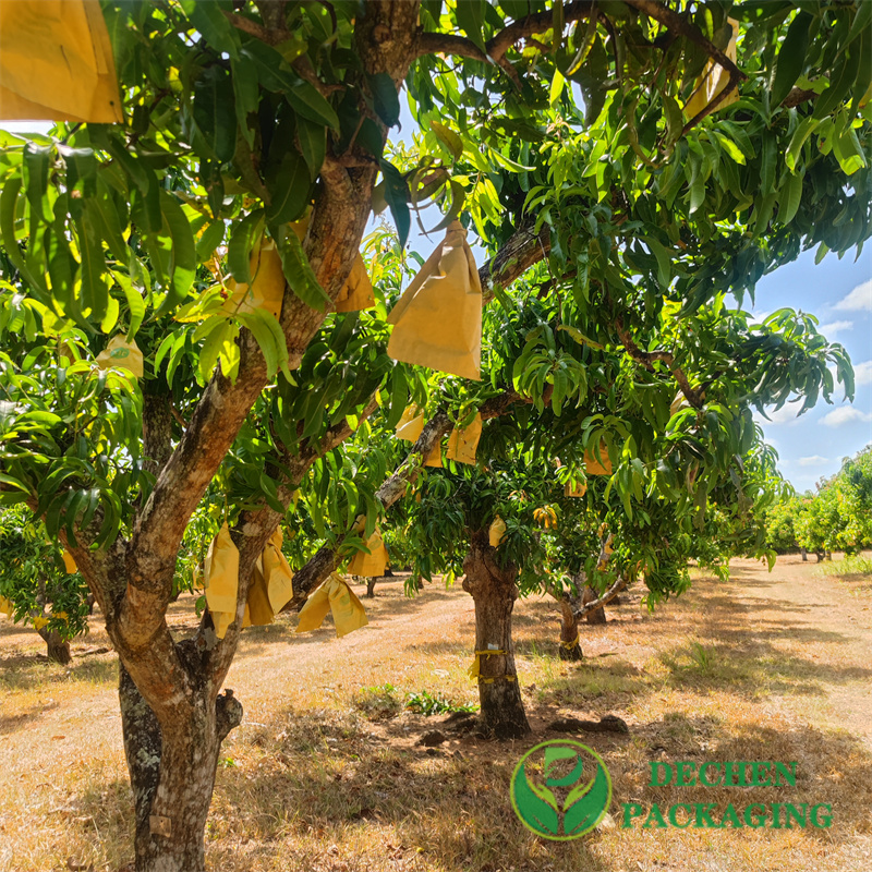 Guava Packing Weather-resistant Mango Bag Excellent Waterproof Fruit Cover Bags