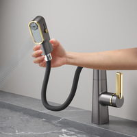 Robinet de lavabo gris Gun Table domestique lavabo salle de bain robinet de rince-bouche réglable froid et chaud
