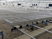 Grande serre agricole solaire en acier galvanisé pour la culture hydroponique de légumes et de fruits - ZhuoTai