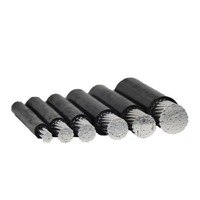 Câble blindé en acier IEC 60228 AL/PVC/STA/XLPE