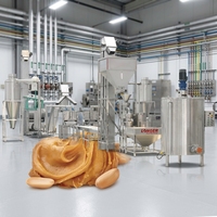 Offre Spéciale : Moulin Colloïdal en Acier Inoxydable pour la Fabrication de Beurre de Cacahuète, Broyeur à Petite Échelle pour Beurre de Noix de Cajou et de Tigernut