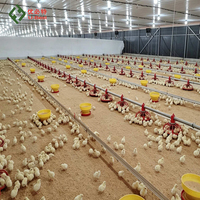 Équipement d'élevage de volailles pour fermes avicoles : Ligne d'alimentation et d'abreuvement pour poulets de chair