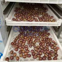 Four de séchage à pompe à chaleur pour pruneaux, séchoir à pruneaux, équipement de déshydratation de pruneaux, disponible immédiatement