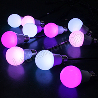 Ampoule LED DMX dynamique 60 mm, immersive, E27, adressable, DMX RGB CCT, ampoule à pixels