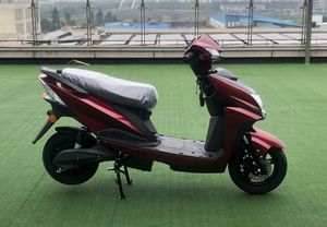 Los scooters eléctricos chinos son increíblemente baratos: motor de 1000W, precio indio - Product Image 3
