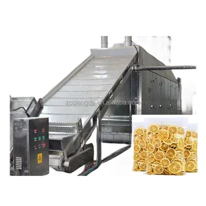 QD- GW Industri Dryer Food Vegetables Silkworm Cocoon Dryer Machine Grain Mesh Conveyor Multi Belt drying equipment