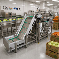 Machine de déshuileage et de déshydratation pour frites et chips à petite échelle