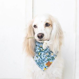 وشاح للحيوانات الأليفة من القطن 100% بطبقات مزدوجة مُخصصة, مجموعة متناسقة مع الملابس - Product Image 4