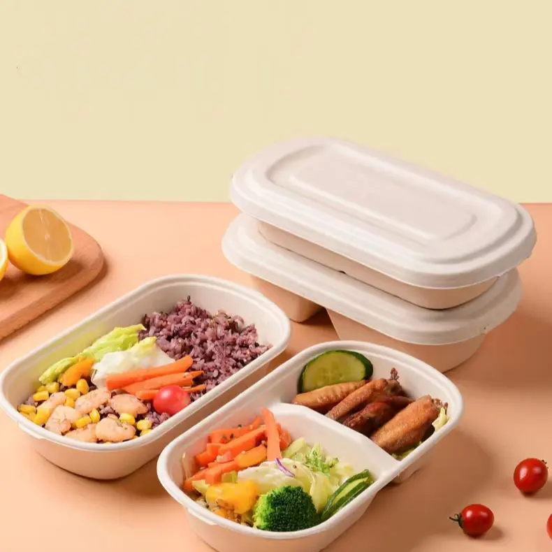 Mittagessen Lebensmittel behälter Take Away To Go Boxen Einweg-Zuckerrohr Biologisch abbaubare Lebensmittel verpackungs behälter