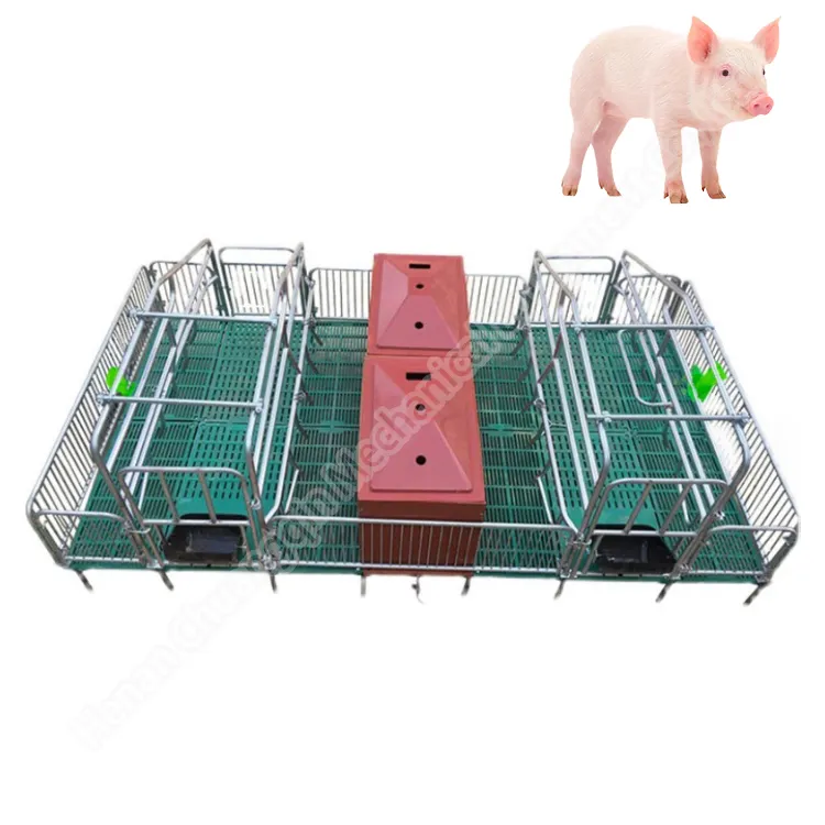 Farrowing Thùng Hot bán lợn trang trại chăn nuôi thiết bị piggery mang thai bút