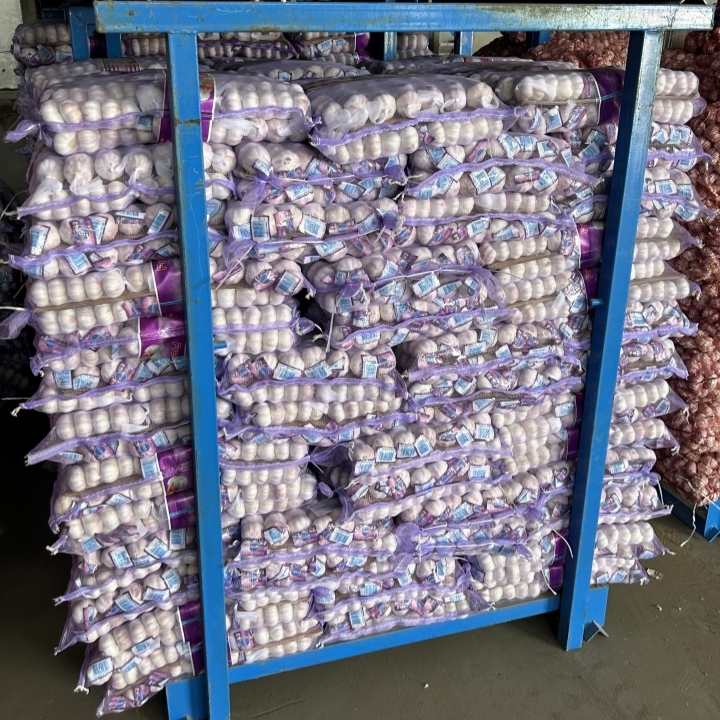 Fresh Vegetables Garlic 10kg Bag Packed