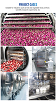 Industrieel Gebruik Ce 200Kg 300Kg 500Kg 1000Kg Groot Vlees Pet Food Freeze Droger Snoep Fruit Vacuüm Kruiden Lyofilisator Machine