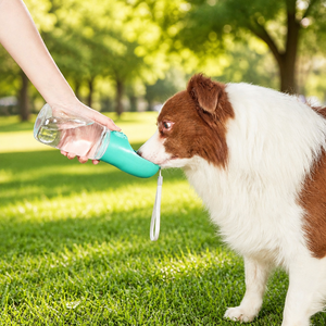 Bouteille d'eau portable pour animaux de compagnie, anti-fuite, avec bouton de boisson à une touche pour chiens et chats, voyages en plein air, promenades - Product Image 2