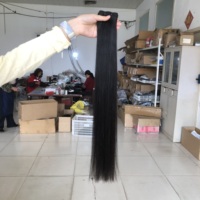 Extensions de cheveux humains vierges brésiliens, lots d'échantillons gratuits, double trame, cuticules alignées