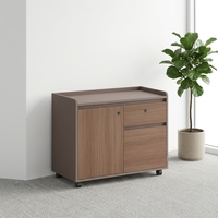 Armoire de rangement de bureau à 2 portes, armoire basse en bois grainé avec étagère réglable, armoire de classement robuste sous le bureau