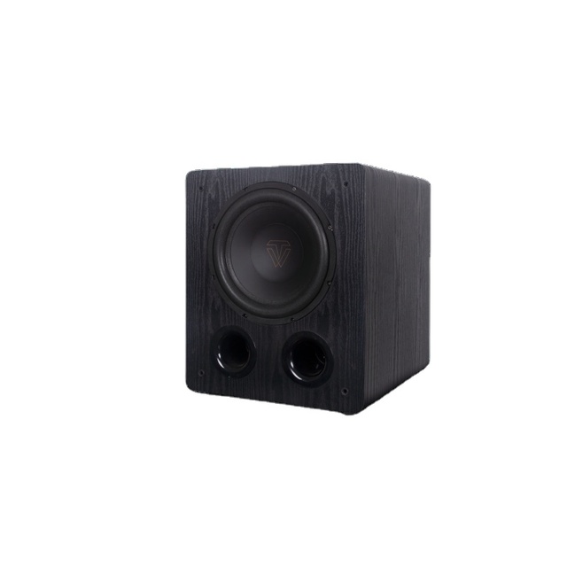 ToneWinner 10 Inch 200W High Powered Subwoofer Bass Wood Subwoofer High Quality Balance Input Subwoofer