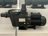 Bomba de Piscina Estilo Pentair 110V/220V/380V de Alta Presión, Bomba Centrífuga de Agua de 2 Pulgadas y Una Velocidad, Acero Inoxidable S.S316