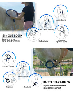 Appareil PEMF portable à double canal ODM/OEM pour animaux, améliore les performances sportives, dispositif de récupération et de bien-être PEMF pour écuries équestres - Product Image 2