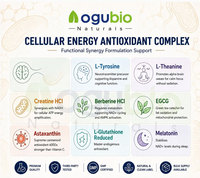 Polvo de Ribósido de Ácido Nicotínico 98% Precursor de NAD+ CAS 17720-18-2 Suministro a Granel Ingrediente de Suplemento Dietético para la Longevidad
