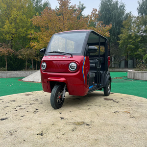 Tricycles et motos <span class=keywords><strong>électrique</strong></span>s miniatures 60V très demandés, versions sans porte/avec porte en option, faciles à monter et à descendre, basse vitesse - Product Image 5