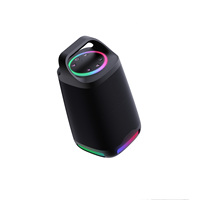 Enceinte sans fil compacte 160W avec étanchéité IPX4, basses profondes et voix claire, commande par bouton, portable pour fêtes et activités en extérieur