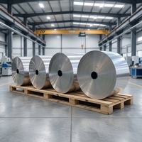 Fabricant de bobines de feuille d'aluminium 3003 H24 pour la fabrication de contenants alimentaires jetables