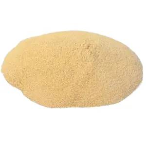 Amilasi lipasi cellulasi compound detergenti enzima